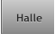 Halle Halle