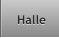 Halle Halle